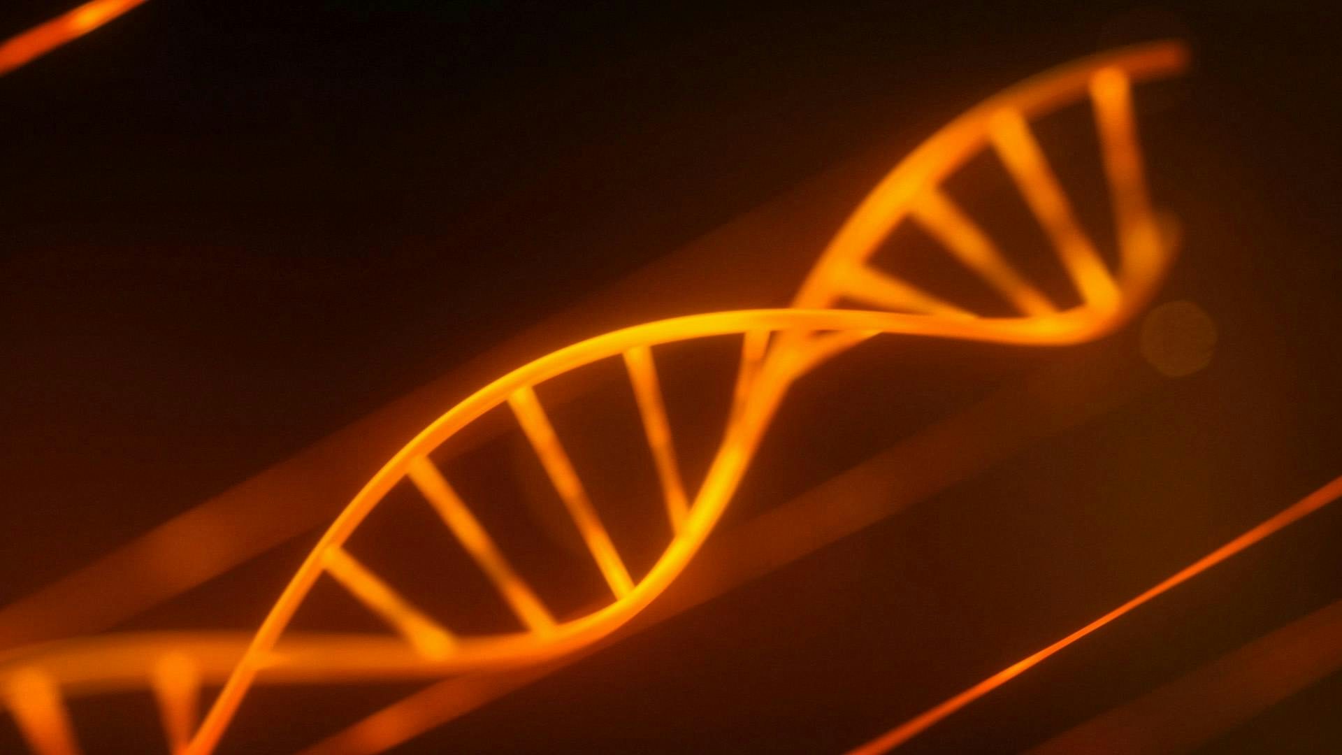 Futuristic shot of DNA in an orange environment
